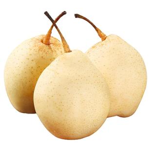 河北鸭梨正宗大鸭梨水晶梨当季水果新鲜梨子产地直发皇冠梨雪花梨