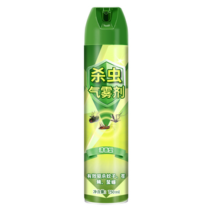 杀虫剂气雾剂小飞虫灭杀神器灭蚊子蟑螂药苍蝇喷雾强力蚂蚁蜘蛛