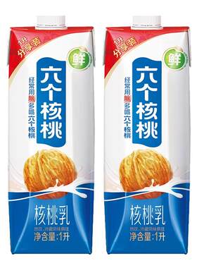 植物蛋白核桃乳分享装