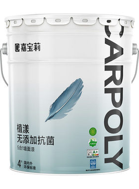 嘉宝莉淳氧5合1乳胶漆防霉高遮盖