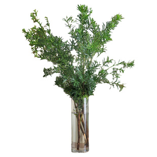 [新鲜真松枝】罗汉松鲜花水养鲜切枝插花花期长懒人款绿植放轻松