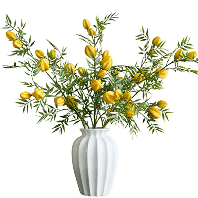 杨桃果树枝水果实电视柜餐桌装饰