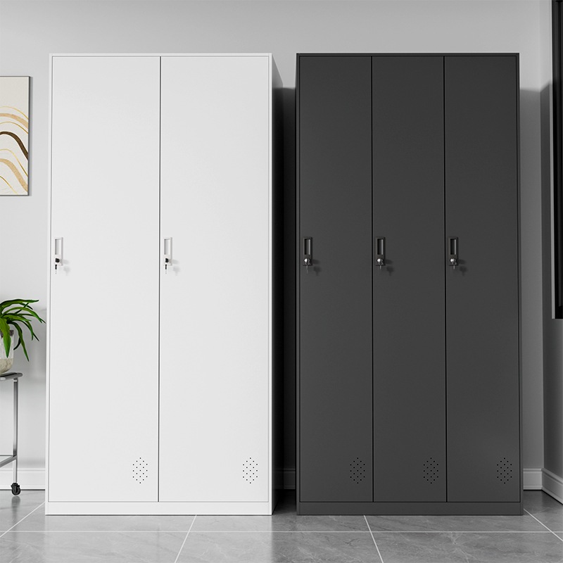 二门铁皮更衣柜带锁储物柜员工宿舍挂衣柜护士办公室换衣柜铁皮柜