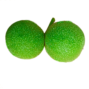 青皮核桃新鲜5斤去皮湿核桃农家自产现绿核桃泡酒新果老树黑桃