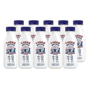 新希望今日鲜奶铺255ml家庭装学生营养早餐奶纯牛奶低温冷鲜牛奶