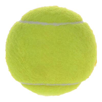 WOLKWOOK网球训练球儿童训练