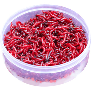 红虫活饵鲜活特大号鲫鱼饵拉饵蚯蚓鱼食公虫钓鱼新鲜红虫饵料活体