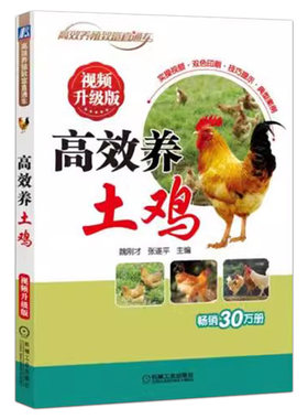 高效养土鸡视频升级版
