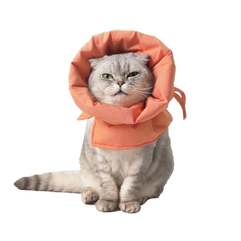猫狗伊丽莎白圈花束式防抓防舔圈