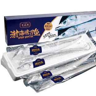 隽品湾大连渤海湾刀鱼野生海捕冰鲜小眼带鱼非舟山3条5条年货礼盒