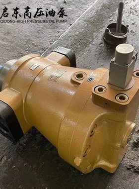 BCY14-1B系列CY系列轴向柱塞泵液压泵高压油泵精工牌启东高压油泵