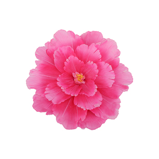 牡丹花舞蹈道具幼儿园学校运动会表演手拿花伞广场舞台演出大花朵