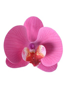 胶片蝴蝶兰花头仿真花墙配件花材