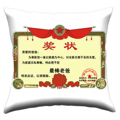可拆洗学生礼物奖状抱枕布艺