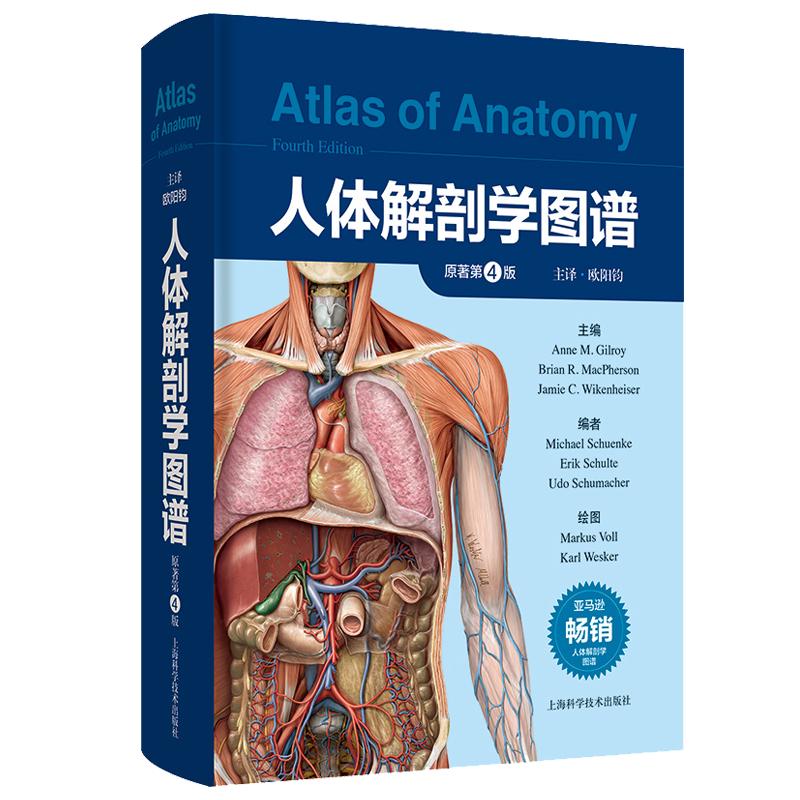 人体解剖学图谱 原著第4版 欧阳钧 主译 人体骨骼断层解剖彩色图谱 2000余幅图片人体解剖可供医学生临床医师及解剖学教师参考用书