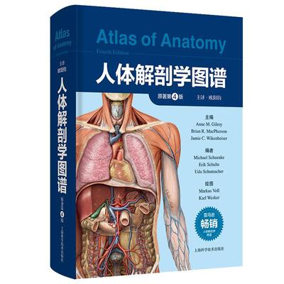 人体解剖学图谱 原著第4版 欧阳钧 主译 人体骨骼断层解剖彩色图谱 2000余幅图片人体解剖可供医学生临床医师及解剖学教师参考用书