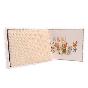 拉比婴幼儿毛毯礼盒2025年春秋季双层加厚拉舍尔儿童被子宝宝盖毯