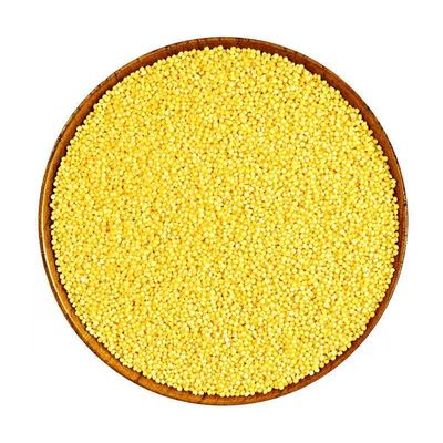 25年新米大黄米包粽子黏米5斤