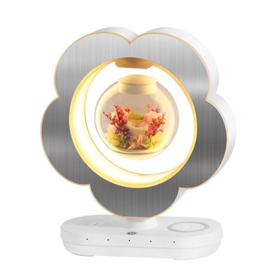 生日礼物送女友老婆实用的高级感磁悬浮永生花纪念日女朋友黑科技