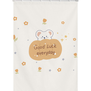 梳妆台镜子遮挡帘洗漱台浴室镜子遮盖帘全身镜滑轨式装饰布帘子