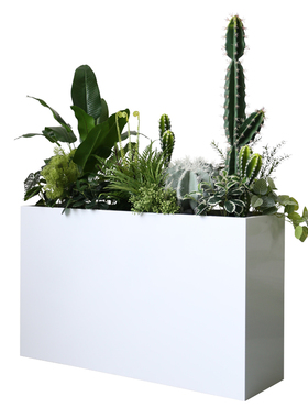 仿真仙人掌热带沙生植物花箱装饰