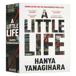 渺小一生 英文原版 A Little Life 小生活 柳原汉雅 当代文学名著 课外阅读 搭相约星期二 追风筝的人 午夜图书馆 活下去的理由