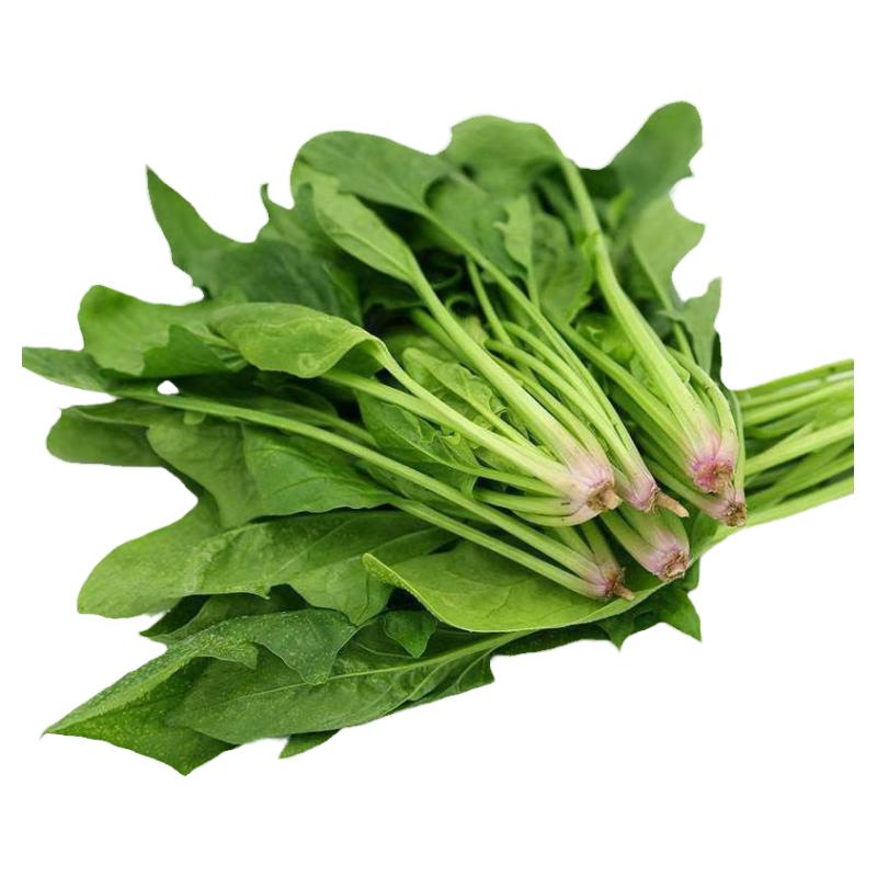 青菜新鲜菠菜红根小菠菜顺丰包邮