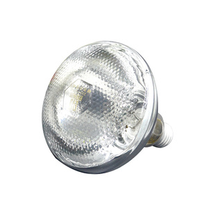 养殖保温灯小鸡育雏猪圈保温灯泡宠物加热灯养猪场兽用发热取暖灯