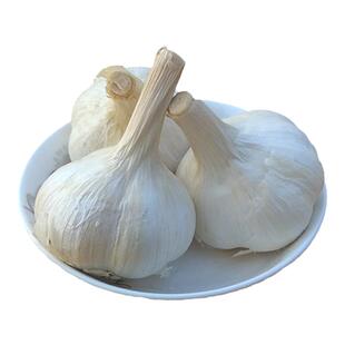 苍山大蒜头 2025山东农家白皮四六瓣 干蒜非杂交蒜500g厨房调料
