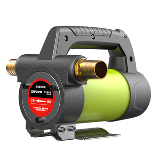 电动抽油泵12v24v220v通用柴油泵小型加油泵加油机吸油泵抽油神器
