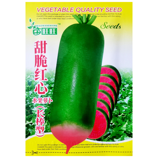 生吃水果萝卜种子种籽青皮红瓤红心萝卜种孑秋季播脆甜高产庭院种