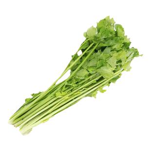 泰国白骨黄心芹菜籽青菜种子四季盆栽春季秋种植野菜土香农家种孑