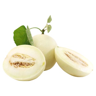 云南郁金香甜瓜新鲜当季孕妇水果现摘小蜜蜂甜瓜白皮蜜瓜脆甜香瓜