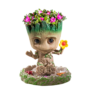 多肉植物仙人掌小盆栽格鲁特仙人球办公室内桌面摆件懒人好养绿植