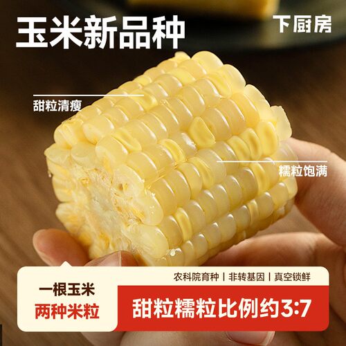 权丢丢可试吃1根下厨房双生蜜糯玉米农科院新品种  甜糯交织 口感