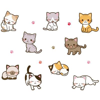 怡然之家猫咪狗狗透明贴纸
