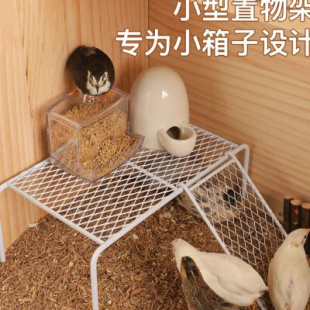 新款 芦丁鸡造景用品平台多功能喂食器食盒水壶架子网格爬梯置物架