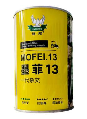 墨绿皮西葫芦春秋播种