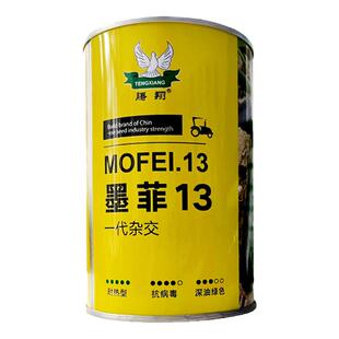 墨翠西葫芦种子黑绿皮长条西葫芦种籽蔬菜角瓜种籽四季包邮