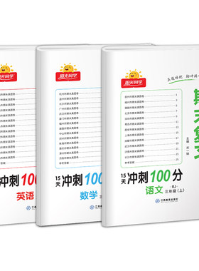 阳光同学期末复习冲刺100分
