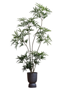 仿真绿植孔雀木室内假树植物摆件