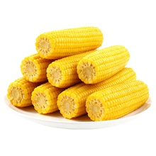 【多赚米儿旗舰店】新鲜黑糯玉米2025东北大棒糯玉米8根