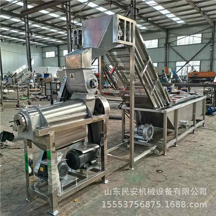 工业胡萝卜清洗榨汁机 大型柠檬螺旋压榨机 橙子火龙果榨汁生产线