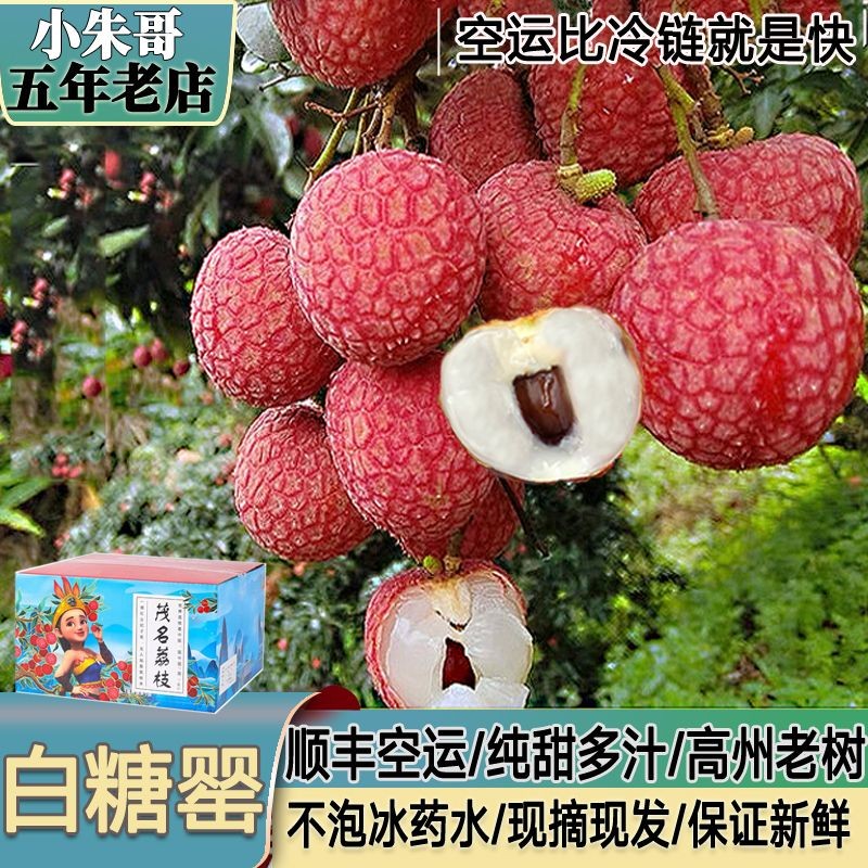 顺丰空运广东茂名高州平山水库老树白糖罂荔枝新鲜现摘送礼盒装