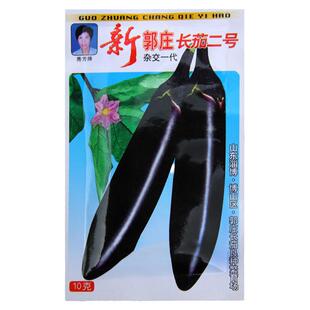 新郭庄长茄二号长茄种子王中王长茄种籽线茄种籽早熟高产蔬菜种孑