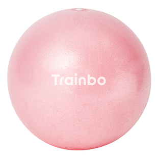 舞蹈瑜伽球瑞士球康复弹力球防爆健身平衡芭蕾25cm气球普拉提小球