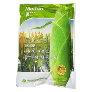 美玉27号白甜糯玉米种籽高产矮杆大棒甜加糯白糯玉米大田苞谷种孑