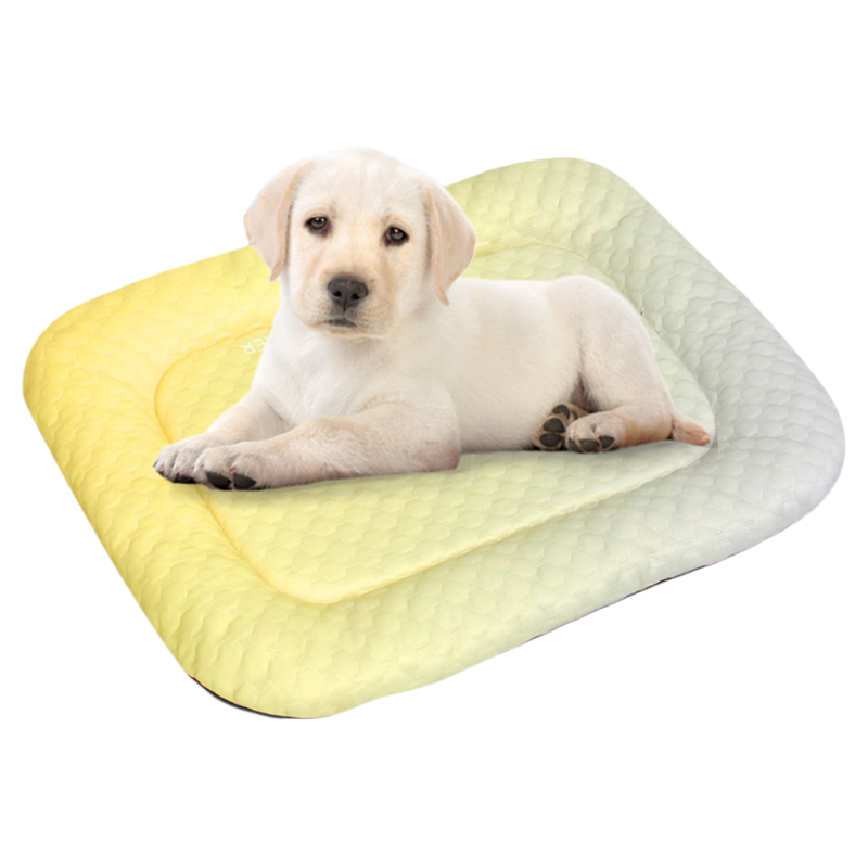 夏季冰窝冰垫猫狗窝3D凉感冰豆豆垫子居家透气狗垫子宠物用品凉席