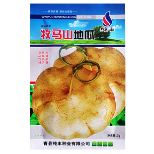 牧马地瓜种子凉薯种孑种籽水果特大白瓤香甜早熟苗秧种植沙葛土瓜