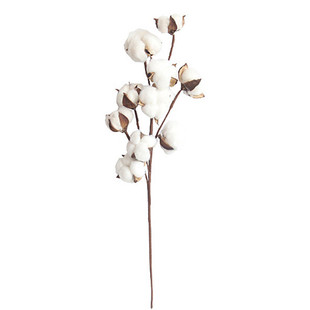 棉花干花花束网红ins仿真木棉花假花客厅摆设服装店橱窗装饰布置